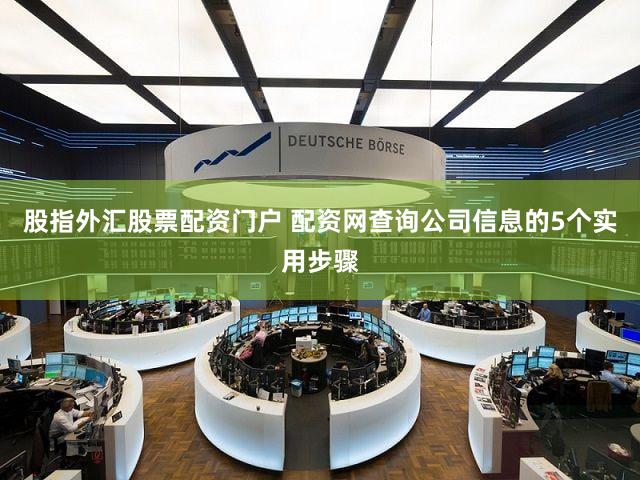 股指外汇股票配资门户 配资网查询公司信息的5个实用步骤