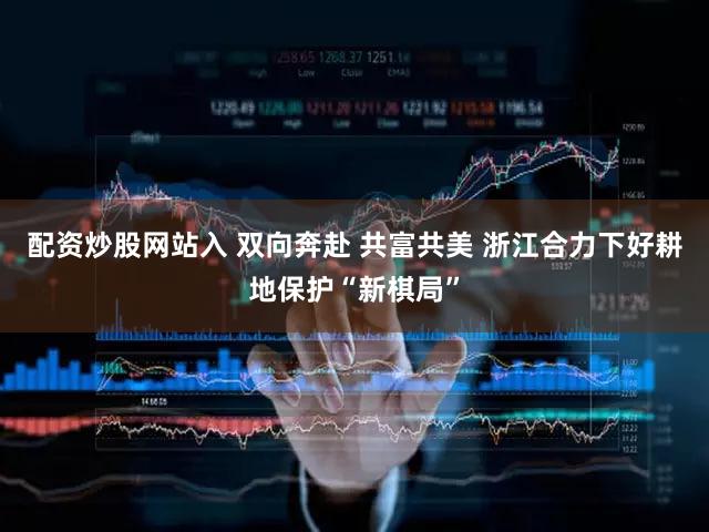 配资炒股网站入 双向奔赴 共富共美 浙江合力下好耕地保护“新棋局”