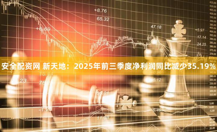 安全配资网 新天地：2025年前三季度净利润同比减少35.19%