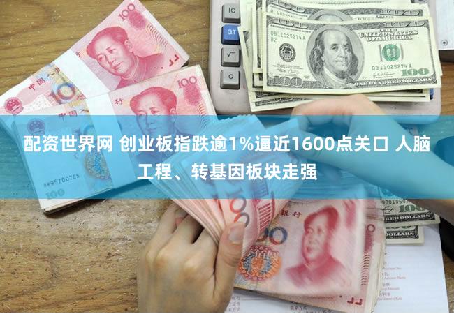 配资世界网 创业板指跌逾1%逼近1600点关口 人脑工程、转基因板块走强