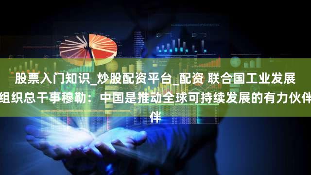 股票入门知识_炒股配资平台_配资 联合国工业发展组织总干事穆勒:中国是推动全球可持续发展的有力伙伴