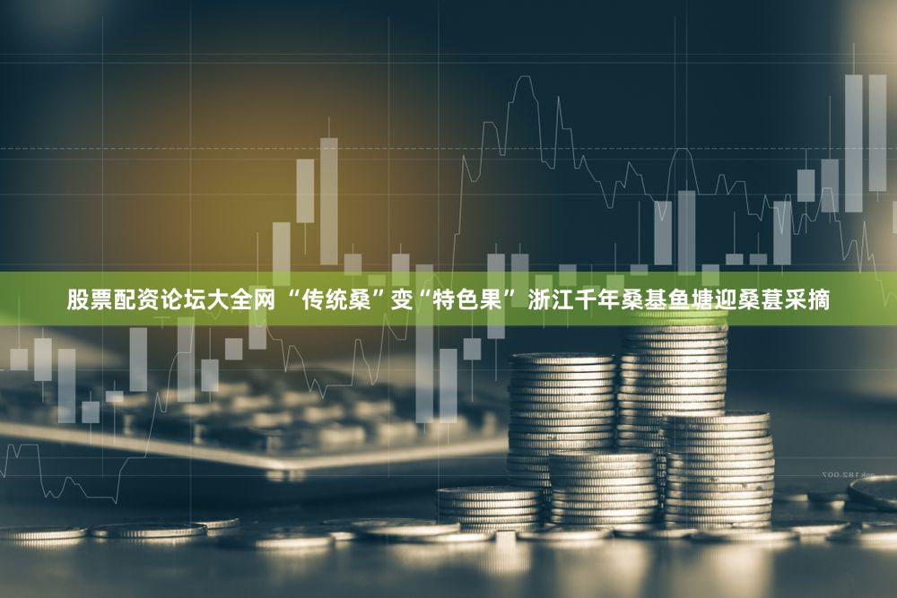 股票配资论坛大全网 “传统桑”变“特色果” 浙江千年桑基鱼塘迎桑葚采摘