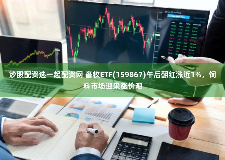 炒股配资选一起配资网 畜牧ETF(159867)午后翻红涨近1%，饲料市场迎来涨价潮